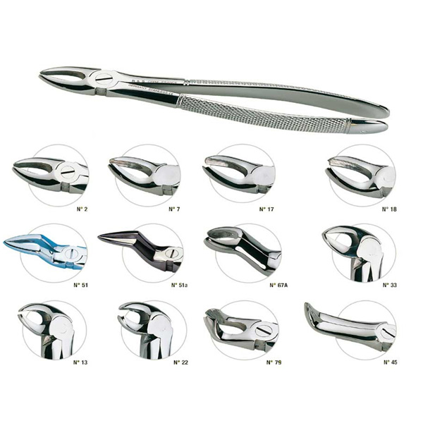 FORCEPS ADULTO N.2 INCISIVOS