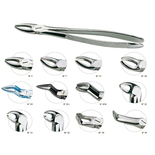 FORCEPS ADULTO N.2 PUNTA ESTRIADA