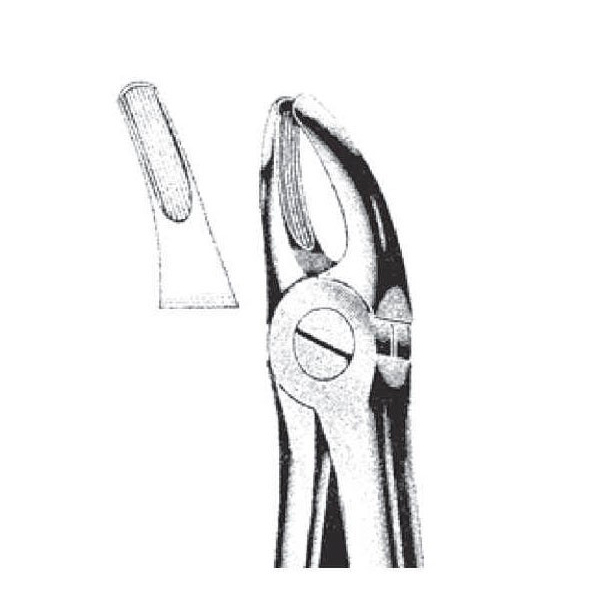 FORCEPS N.7