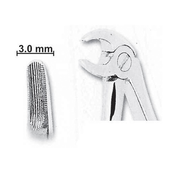 FORCEPS INFANTIL N.5