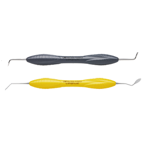 INSTRUMENTO LM ARTE SOLO ANTERIOR