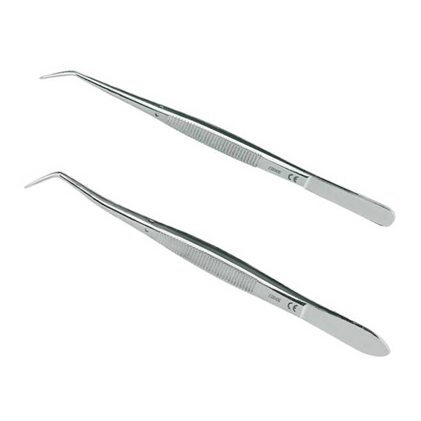 PINZA LONDON COLLEGE