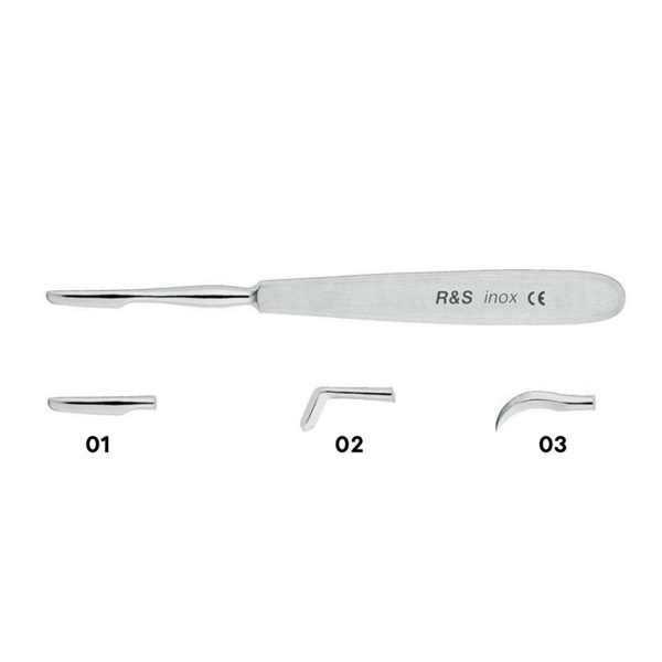 SINDESMOTOMOS CHOMPRET - RECTO