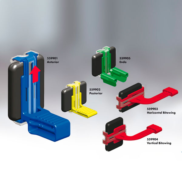 XCP-DS FIT POSTERIOR/AMARILLO