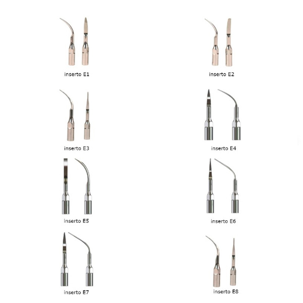 INSERT 1E COMPATIBLE EMS/WOODPECKER