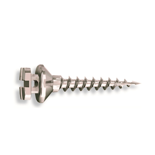 MICROTORNILLO K2 LARGO 7,0X1,9X2,0MM