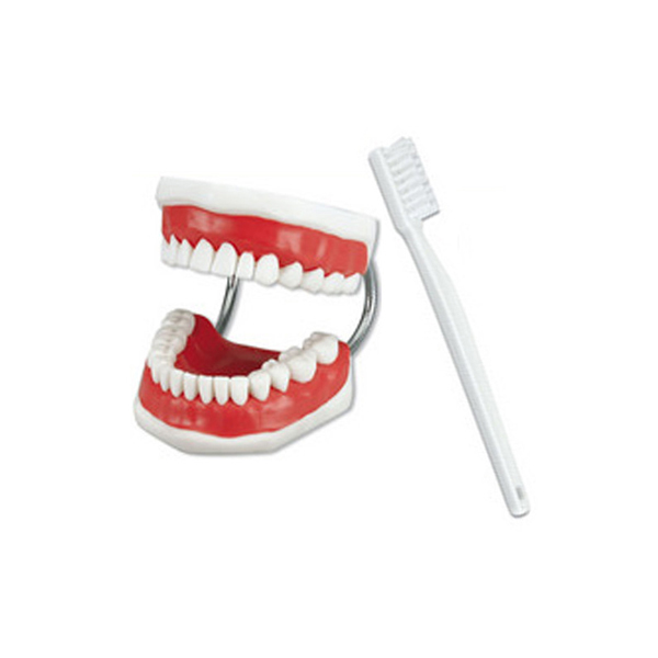 FANTOMAS DEMOSTRACION + CEPILLO