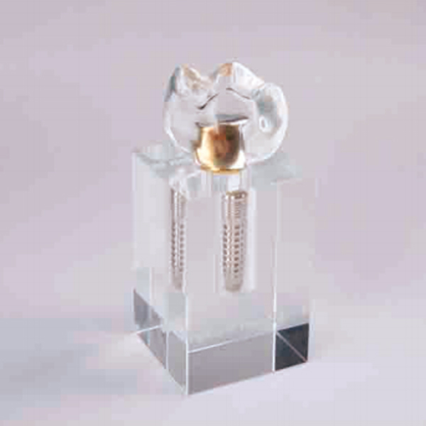 MODELO IMPLANTE BASE TRANSPARENTE 5X5X11.5CM