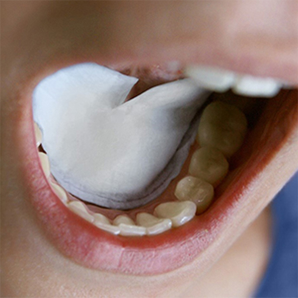 DRYDENT SUBLINGUAL PEQUEÃO