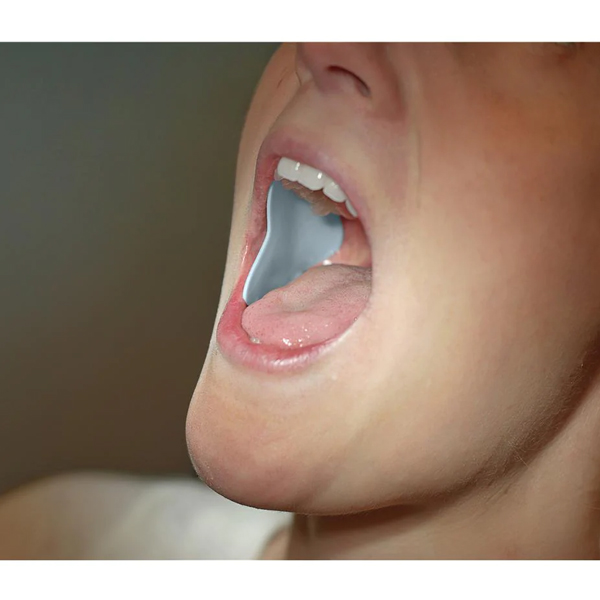 DRYDENT PAROTID SMALL 40X36X2MM